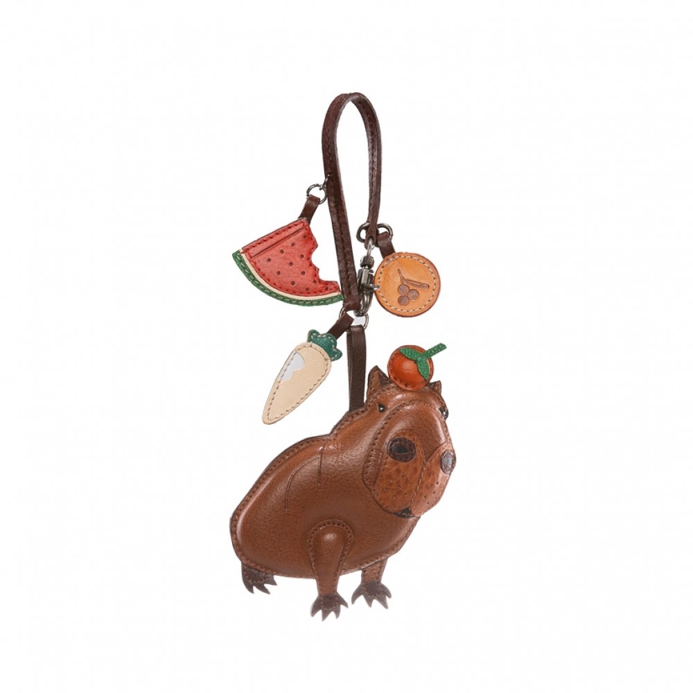 Capybara charm